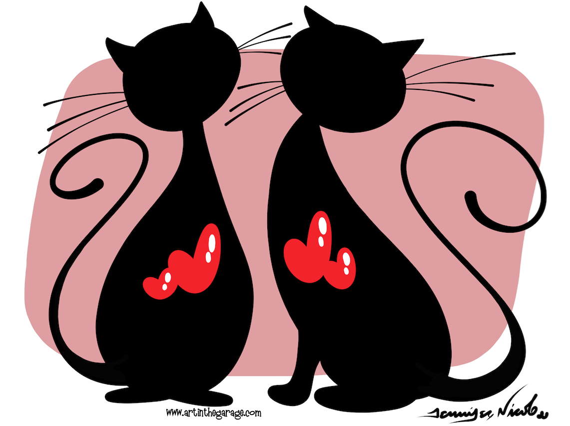 2-27-16 Black Cats Rule