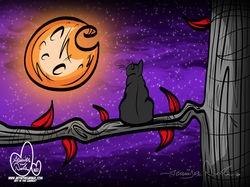 10-2-25 Autumn Nights 4657