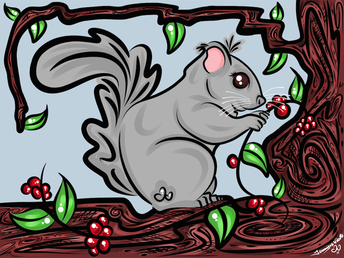 6-28-14 Squirrel.png