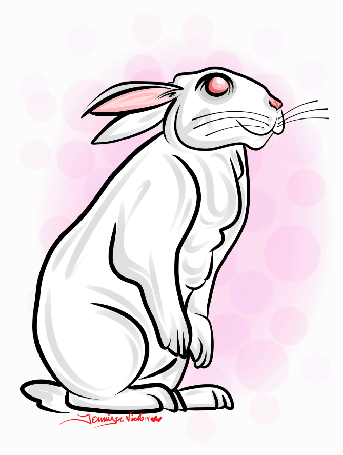 1-25-13 Bunny Finished.png