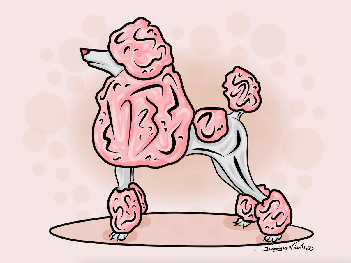 10-21-14 Poodle.png