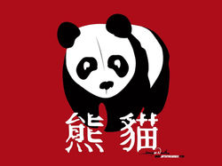 3-1-20 Panda