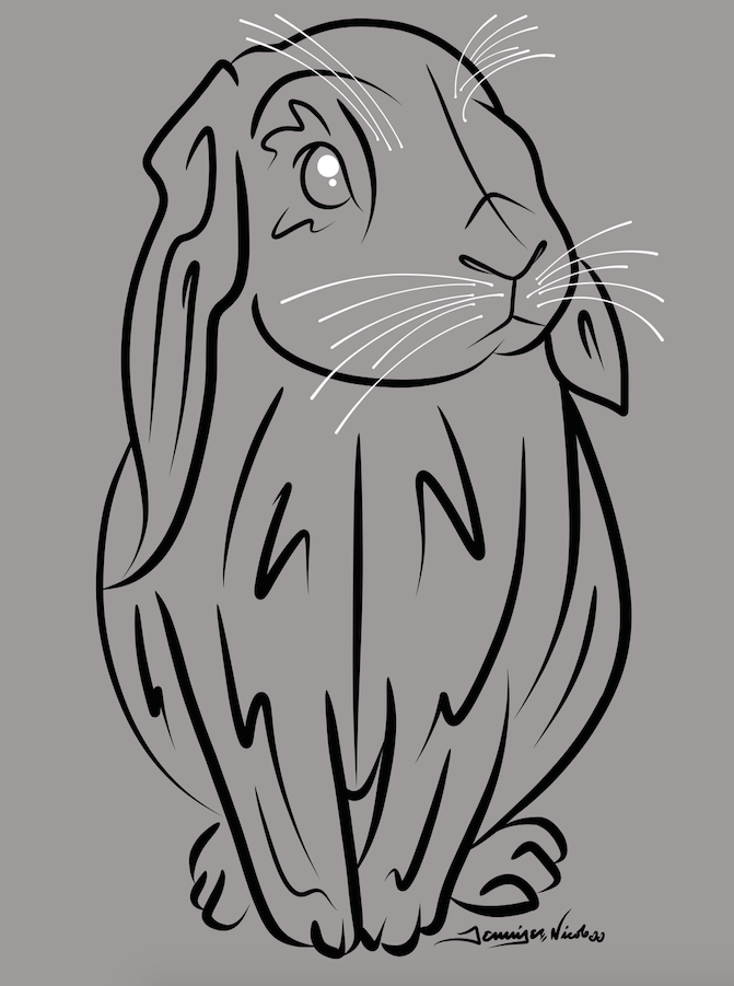 11-24-14 Bunny.png