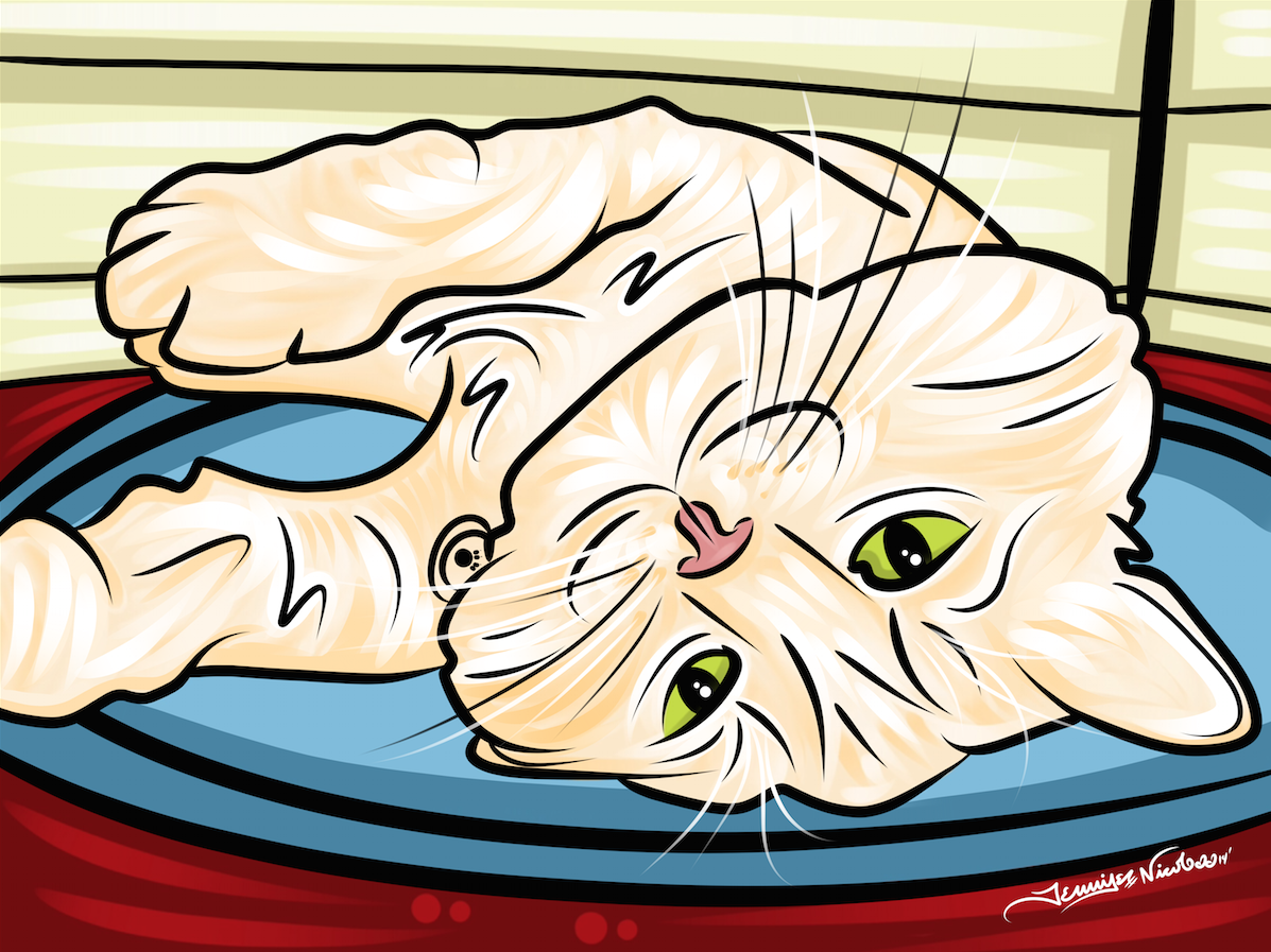 8-10-14 Ollie.png