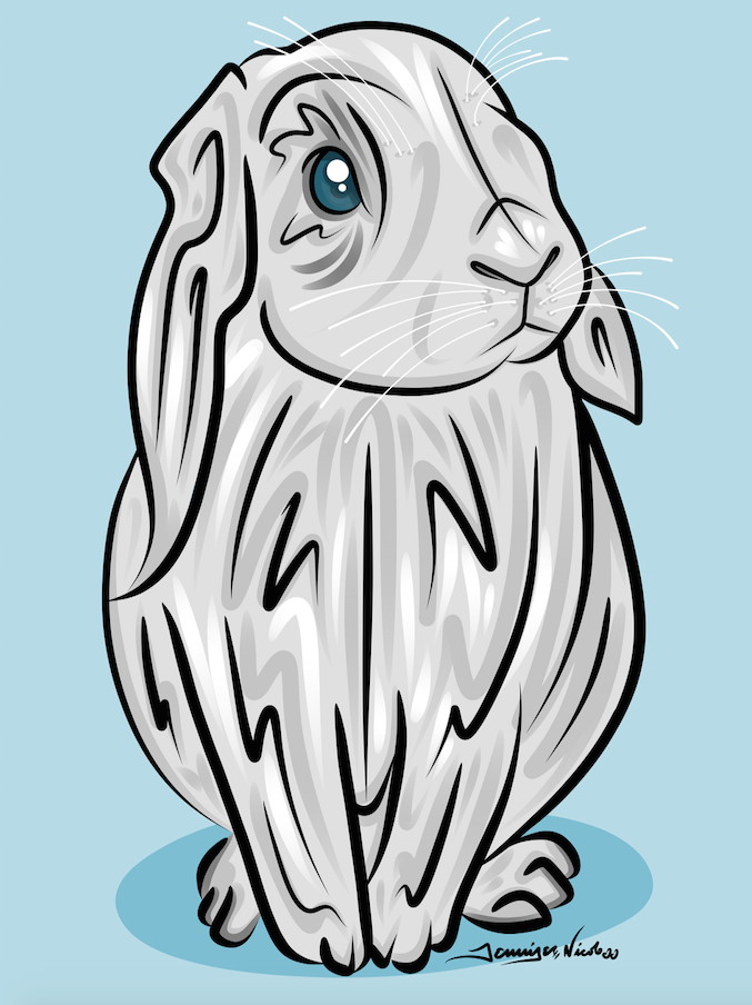 11-25-14 Bunny.png