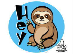 12-2-25 Hey A Sloth 4718