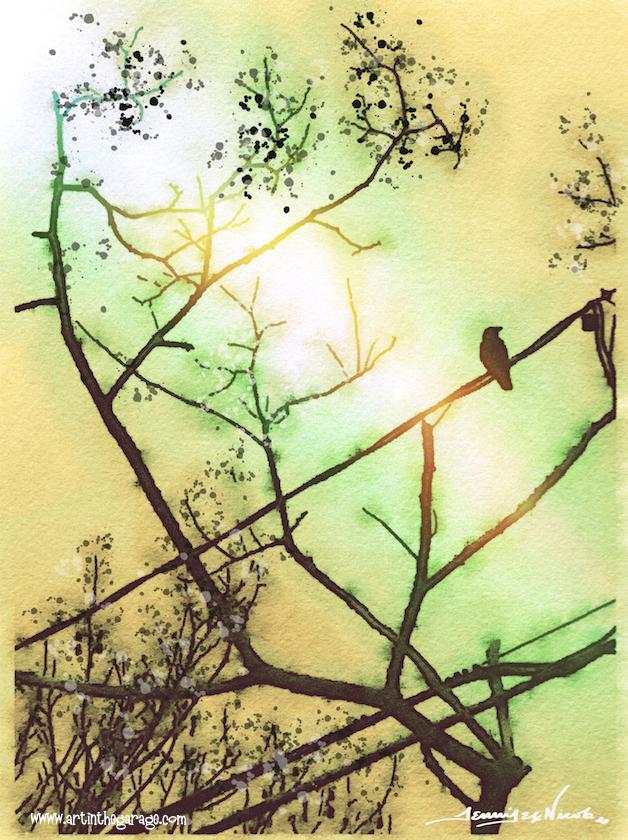 4-6-16 Pretty Bird