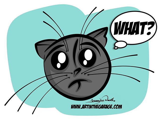 2-21-17 Cat Atrocity