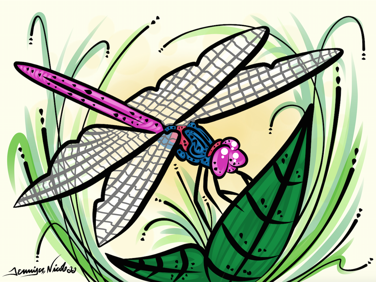 11-30-14 Dragonfly.png