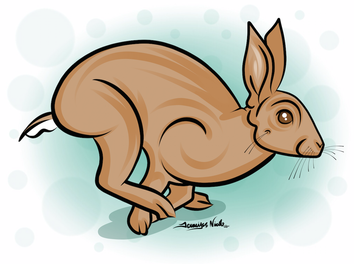 4-16-14 Run Rabbit Run.png