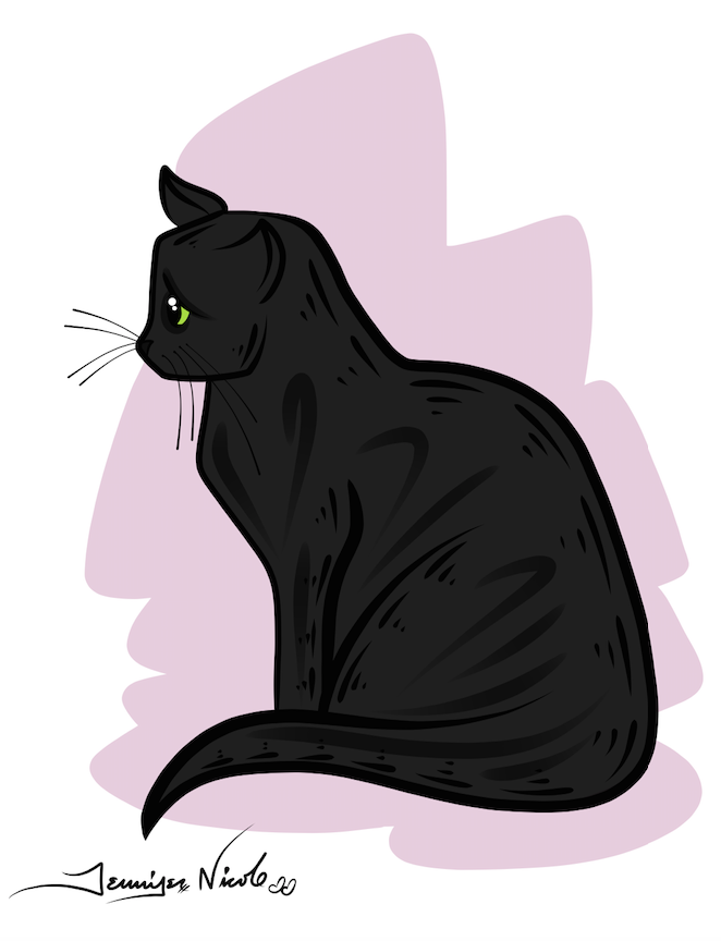 2-13-15 Black Cat Pink Background