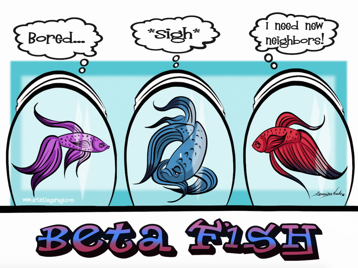 9-14-15 Beta Fish