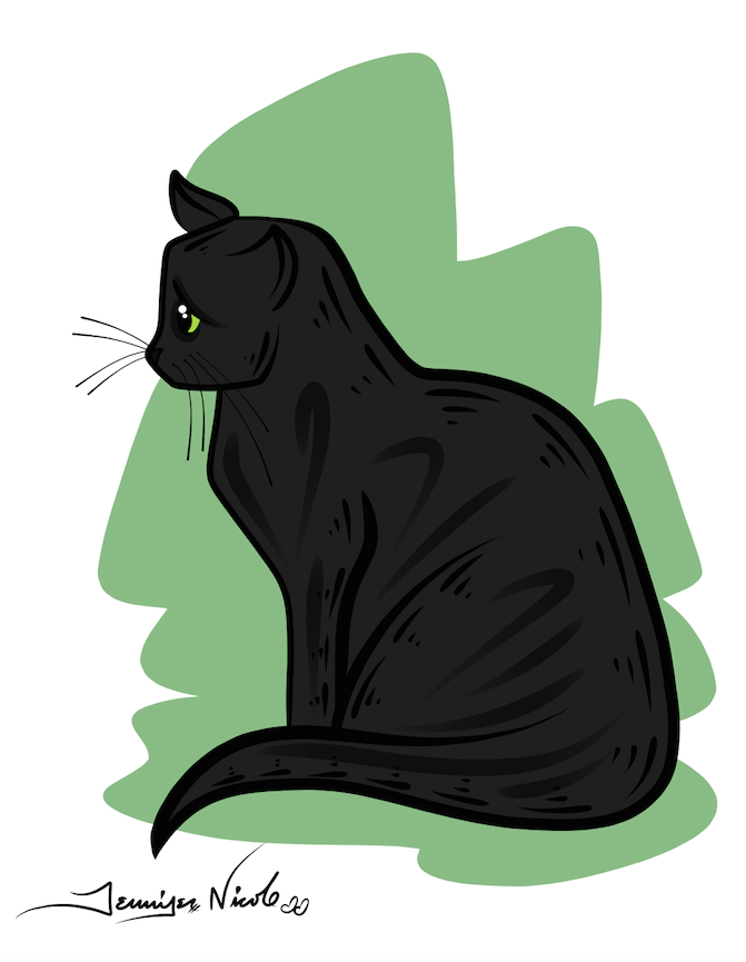 2-13-15 Black Cat Green Background
