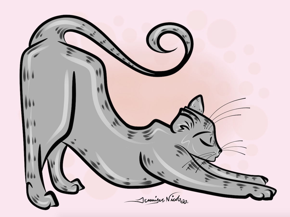 11-8-14 Cat.png