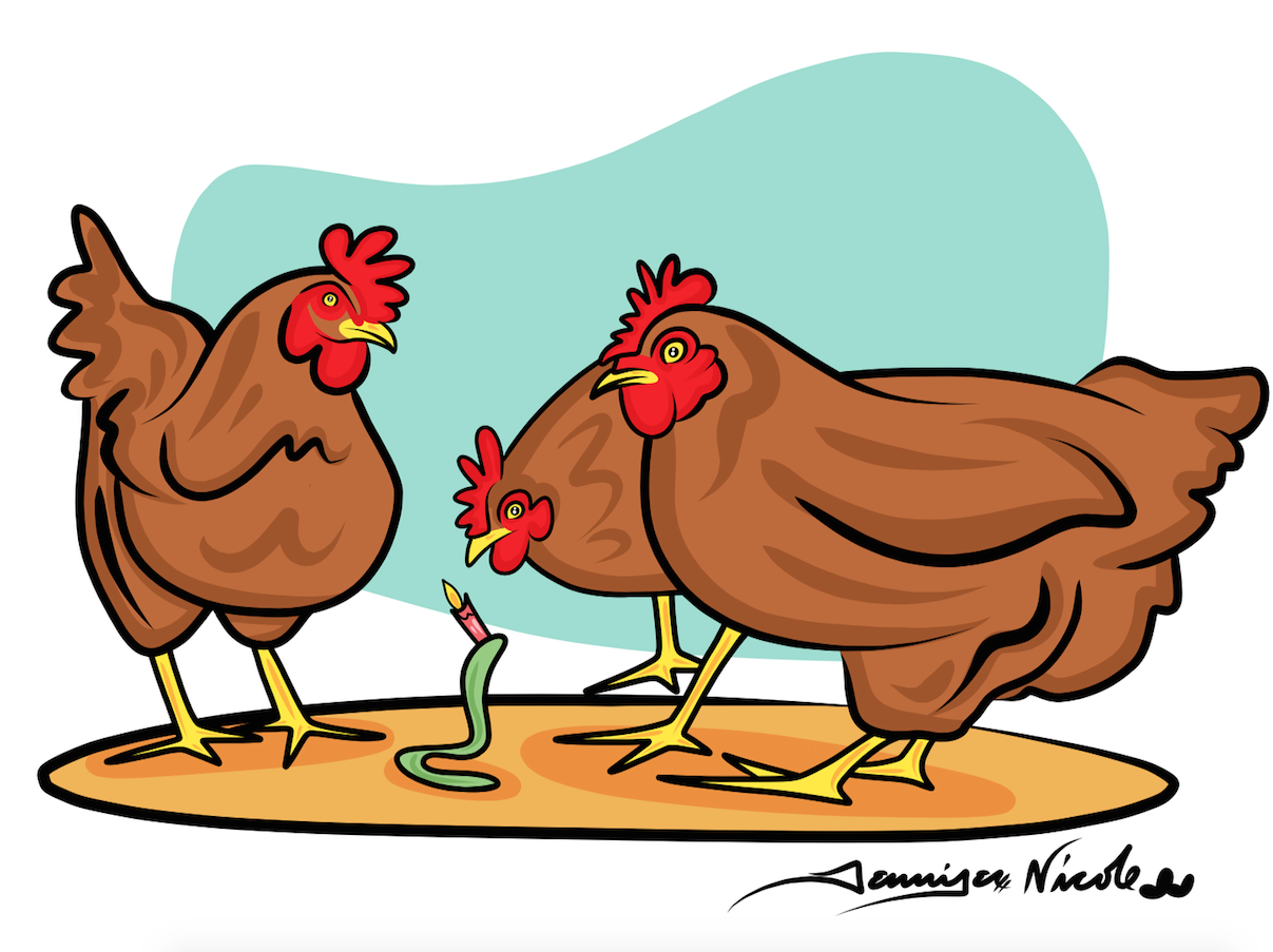 1-9-15 Birthday Chickens