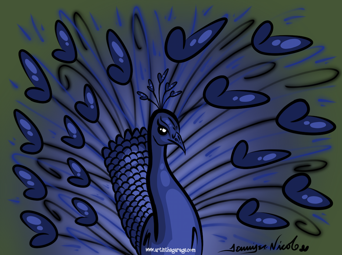 5-6-16 Peacock