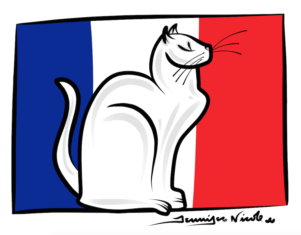 1-12-15 French White Cat