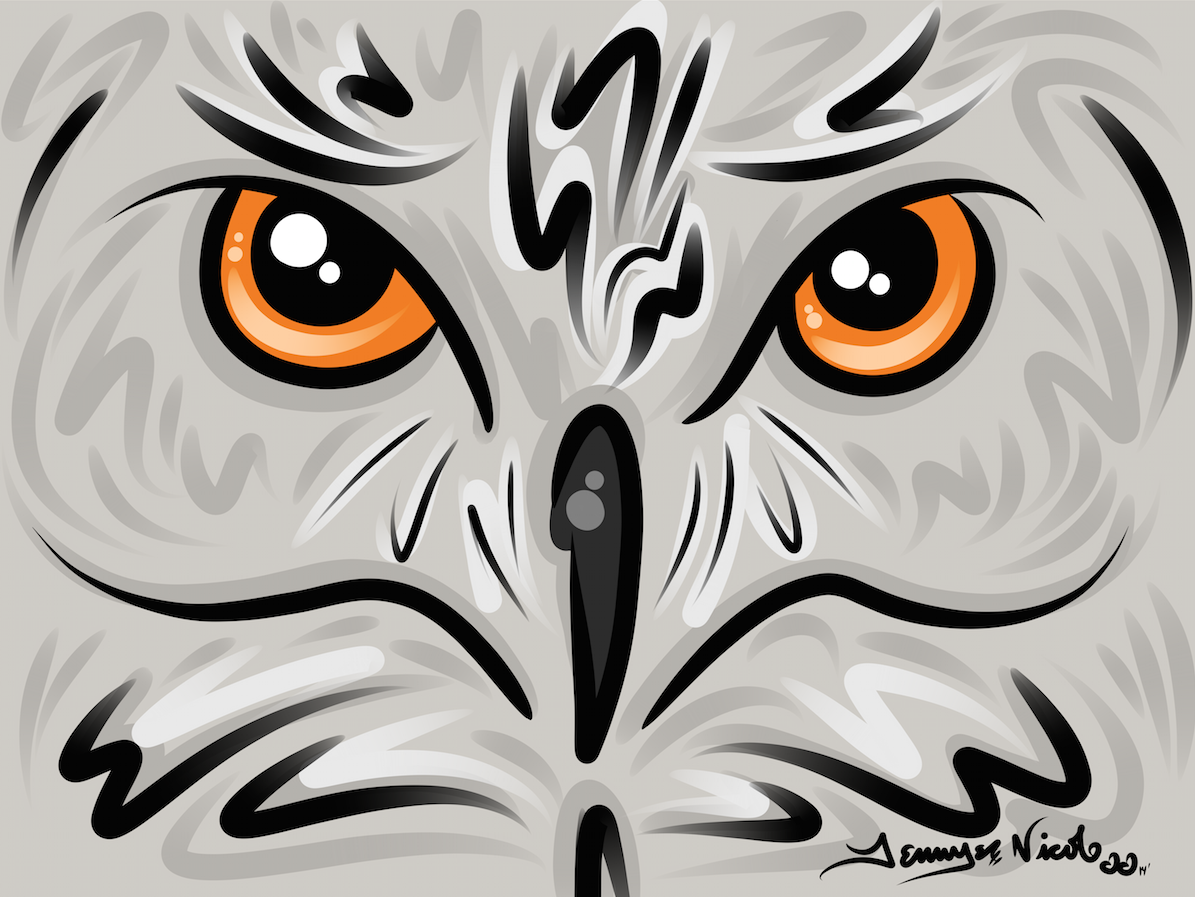 5-8-14 Great Grey Owl.png