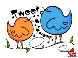 9-18-25 Cute Birds 4643