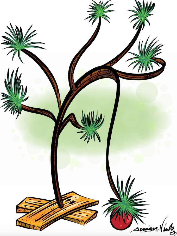 12-8-14 Charlie Brown's Christmas Tree.png