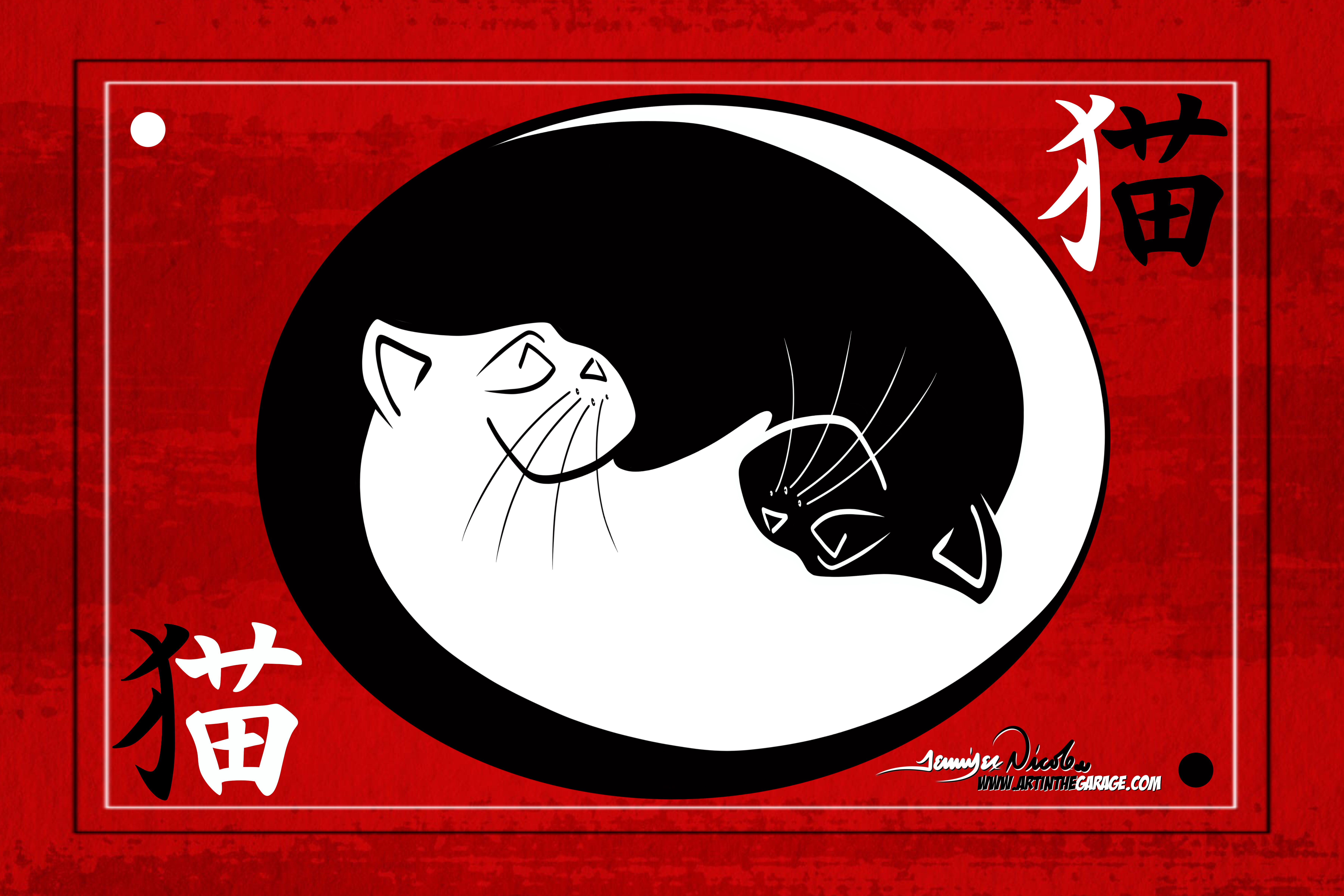 12-12-19 Yin Yang Cat