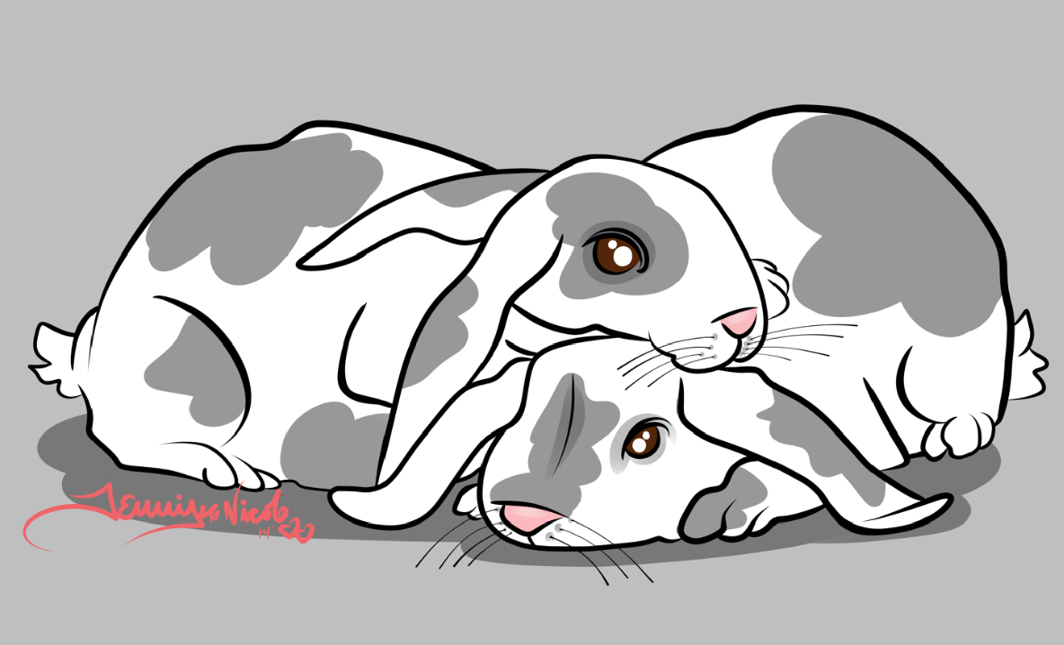 2-6-14 Bunny Love Finished.png