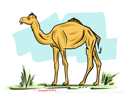 1-30-15 Camel Clipart