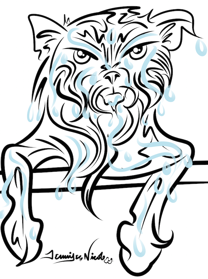 6-9-14 Washing A Cat Sucks.png