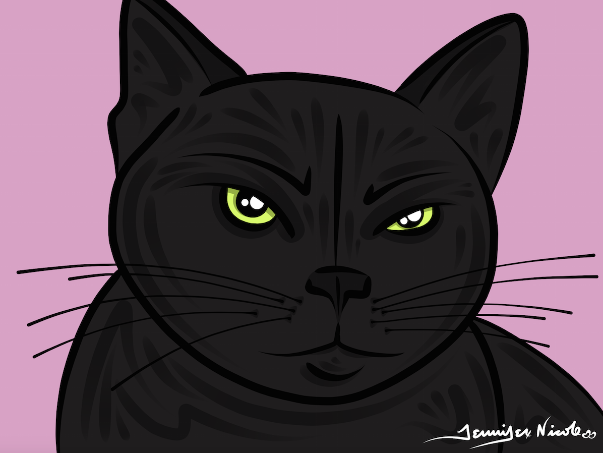 3-13-15 Black Cat