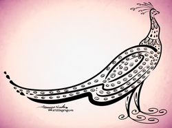 4-16-16 Peacock 2 Outline