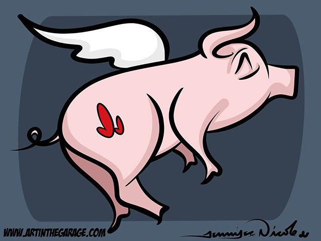 11-11-16 When Pigs Fly