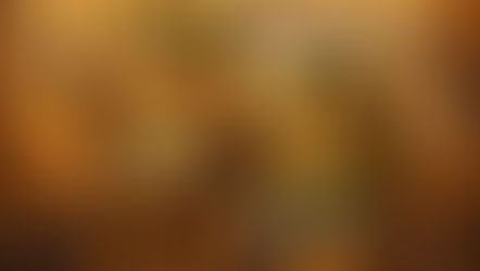 Rossendale Festival Diamond Sponsorship