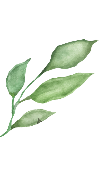 Untitled design (28).png