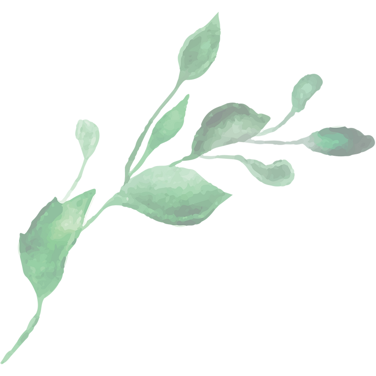 Untitled design (29).png