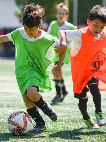 Eagleclaw FC Girls Soccer, Boys and Girls soccer in Seattle, Washington, Premier soccer, Club soccer