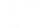 Falling Wall.png
