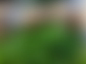 Ich koche für mein Leben gern