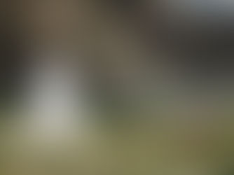 Voyage au cœur de l’Himalaya