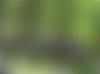 La révolution des robes