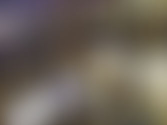 Réunion de famille - 50 ans de zen Sôtô en Europe (1967-2017)