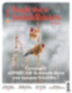 Couv_SB36_OK_HD_02-1