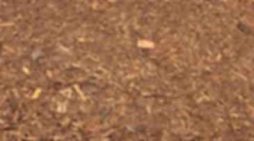 Western Red Cedar Bagged