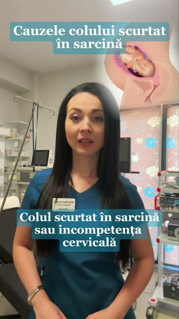 WhatsApp Video 2026-05-05 at 19.38.07.mp4