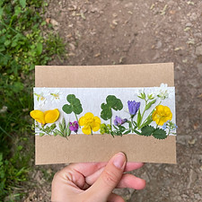 IMG_8890.jpeg