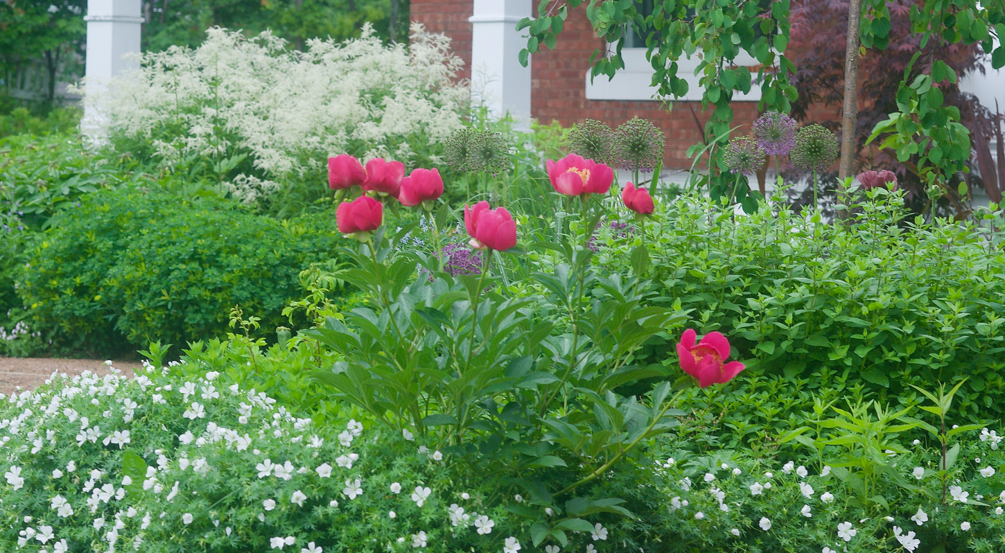 DSC_5341.jpeg
