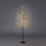 Albero Faggio EDG