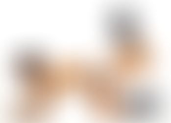 Exercícios para Glúteos