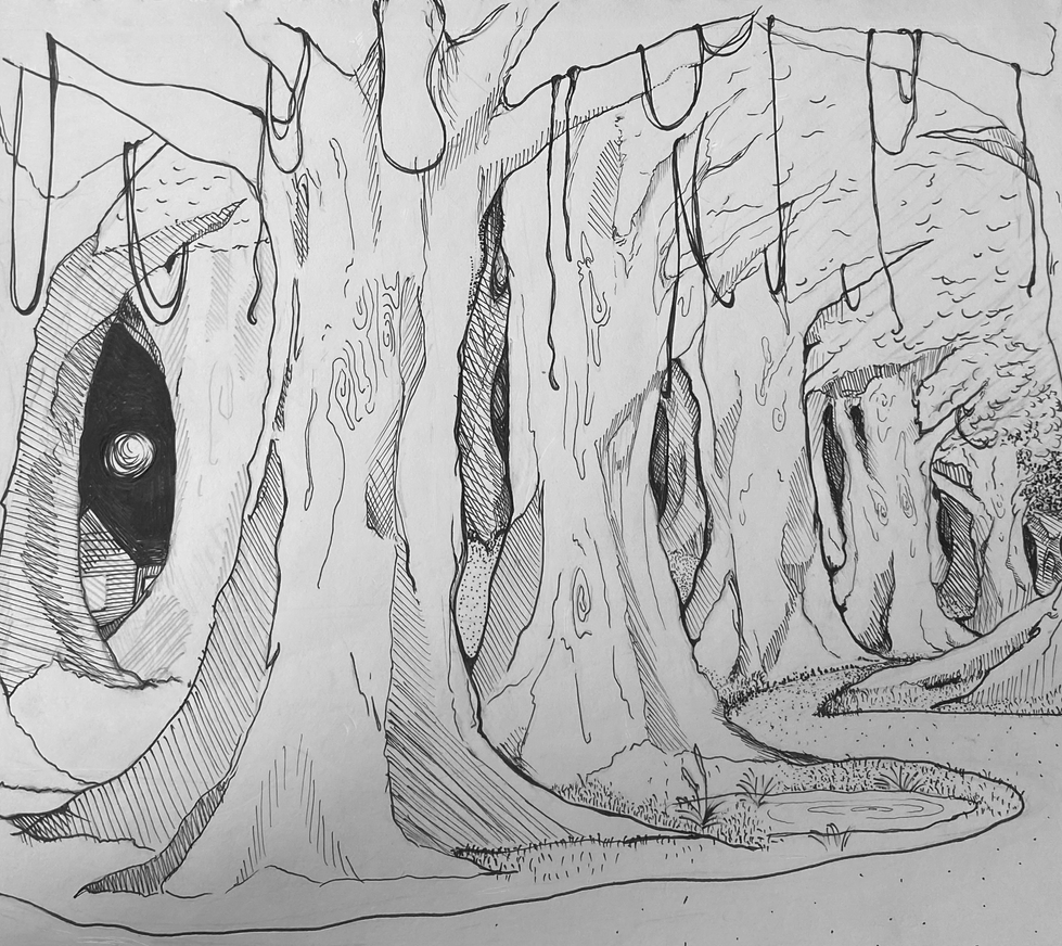 MIDNIGHT FOREST 