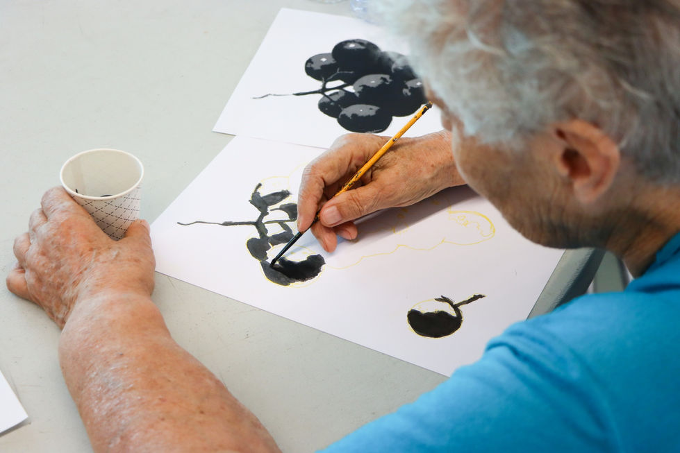 504429244_779894367721833_9089685119712485311_n