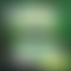 全港青少年兒童愛護動物繪畫比賽2025